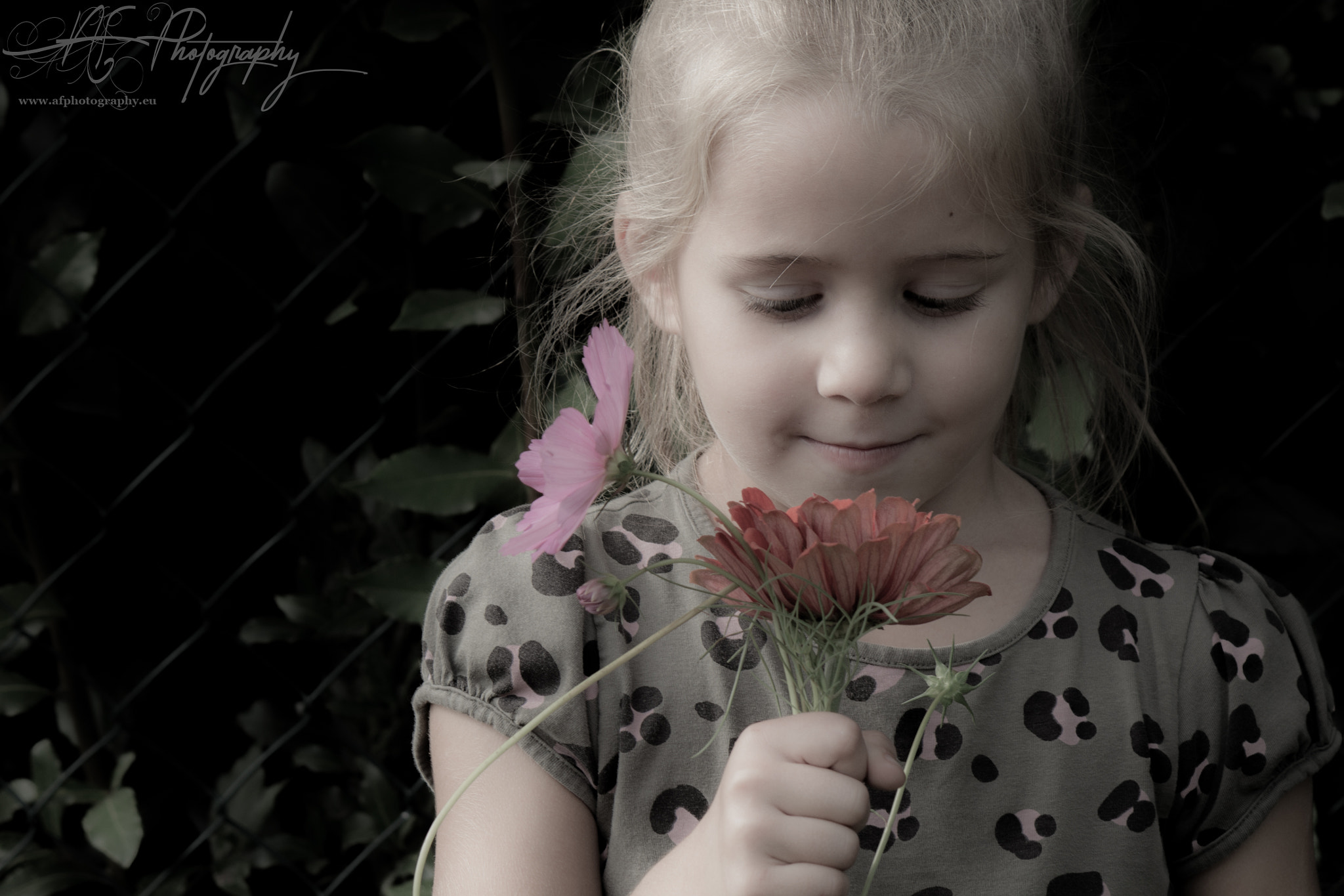 Canon EF-S 55-250mm F4-5.6 IS II sample photo. Alba photography