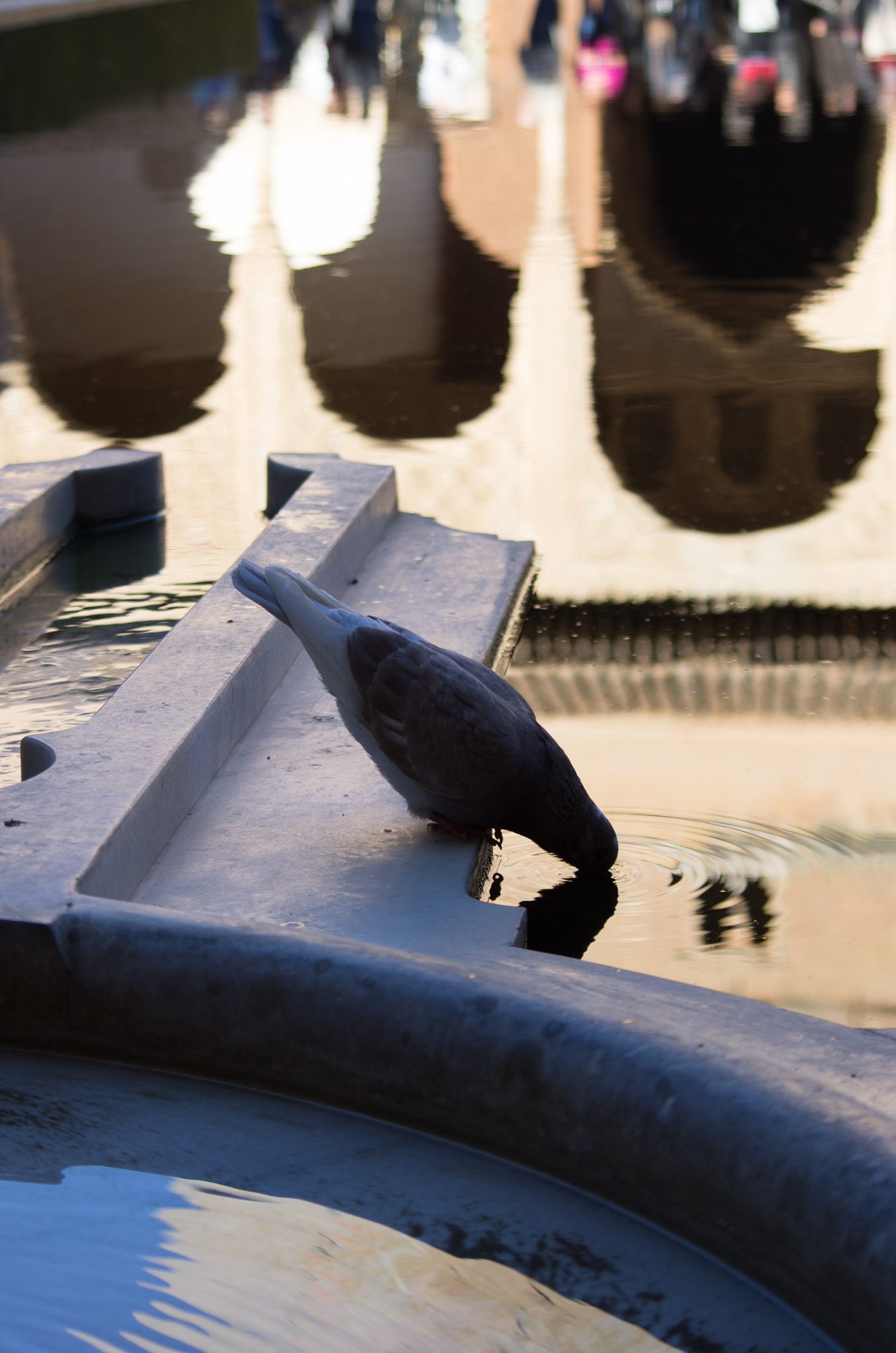 Pentax K-5 sample photo. Alhambra, .1 photography