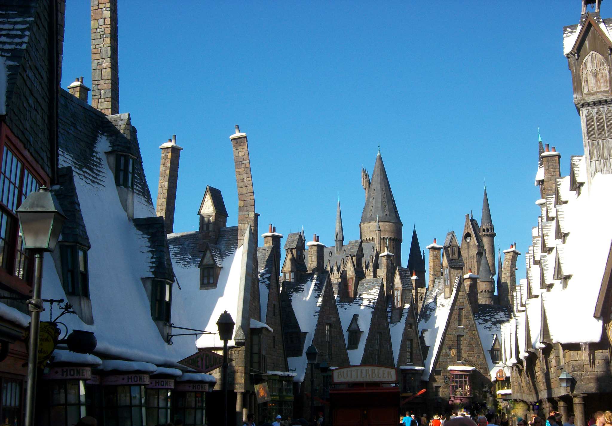 Pentax Optio M85 sample photo. Harry potter  photography