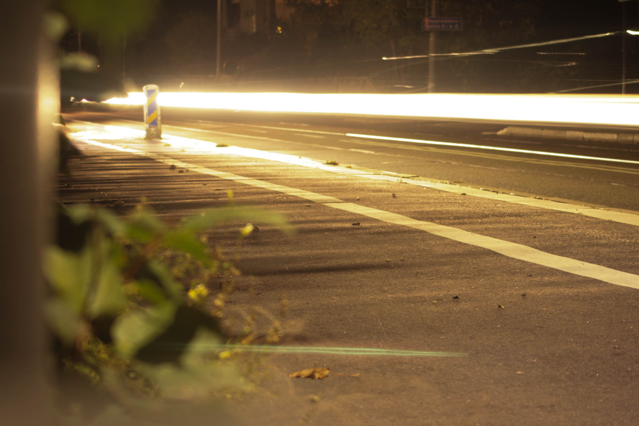 Canon EF 55-200mm F4.5-5.6 II USM sample photo. () photography