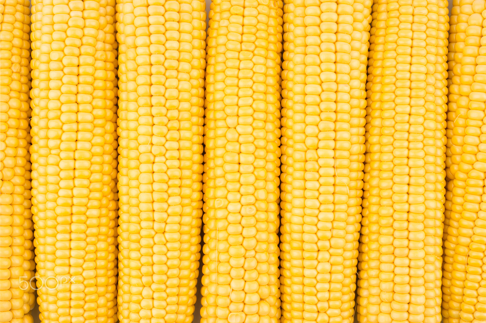 Sony a99 II sample photo. Background of peeled fresh ears of corn. photography