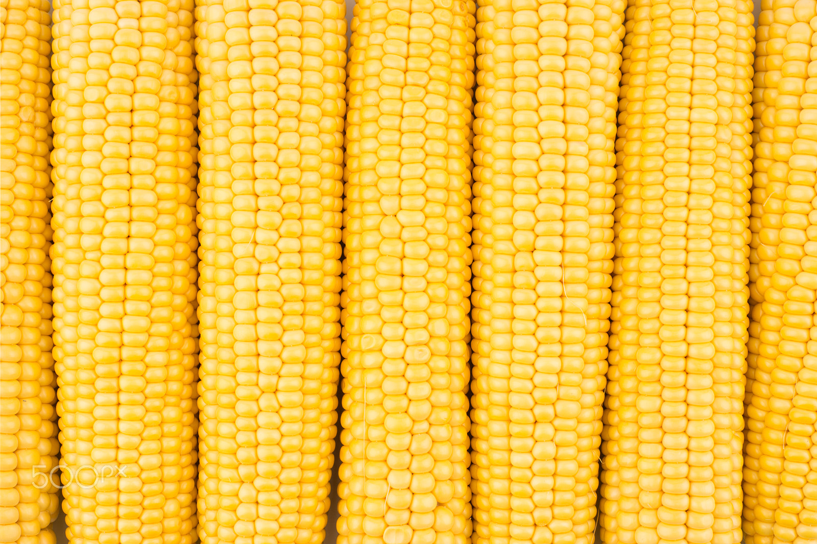 Sony a99 II + Minolta AF 50mm F1.7 sample photo. Background of peeled fresh ears of corn. photography
