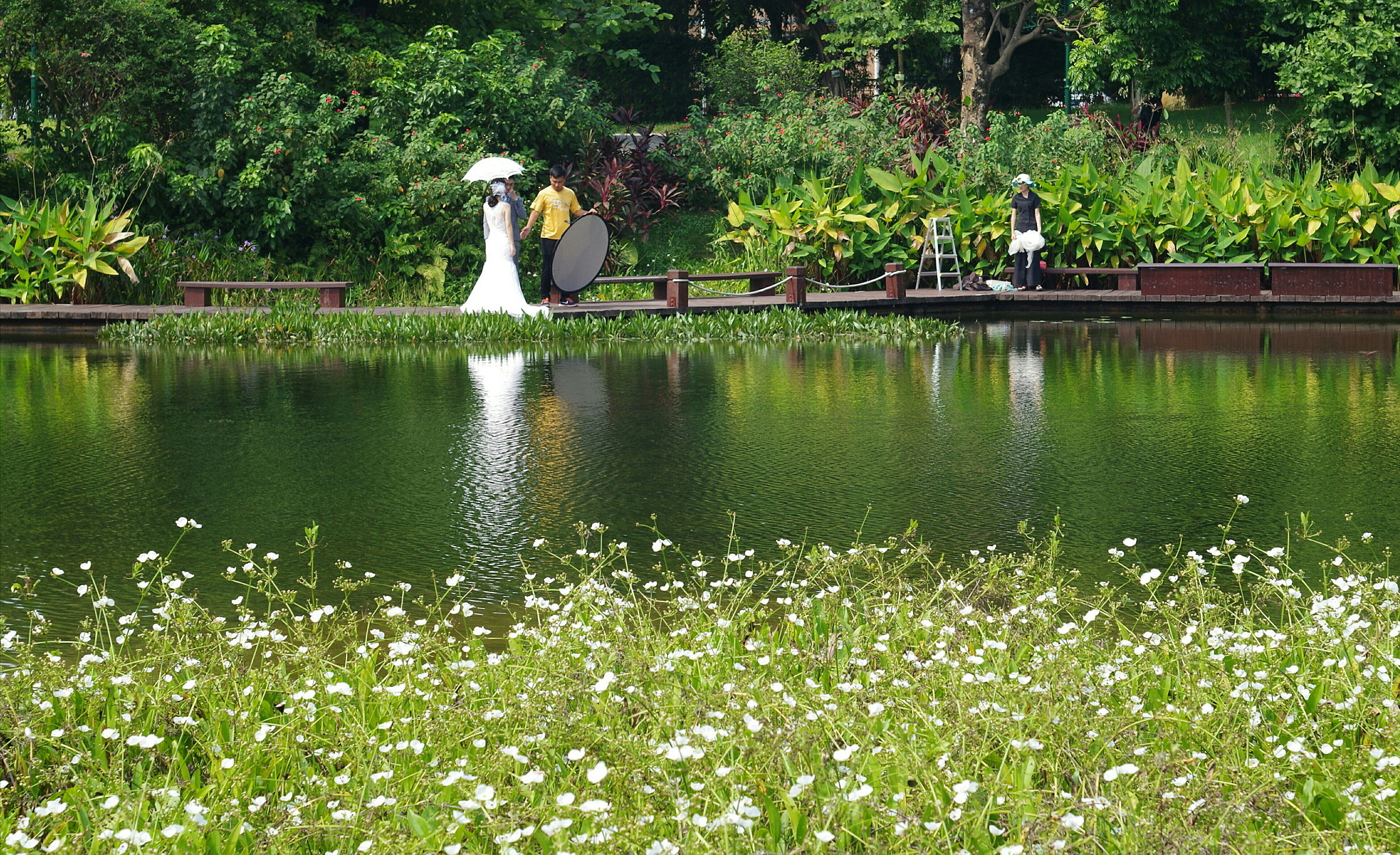 Pentax K-50 + A Series Lens sample photo