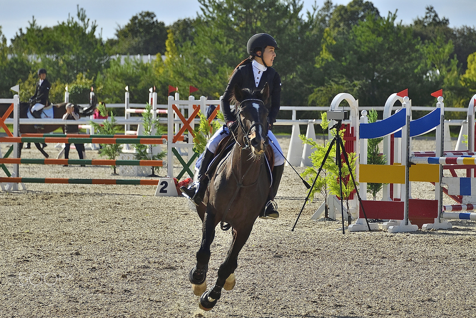 Nikon D200 sample photo. Equestrian lady photography