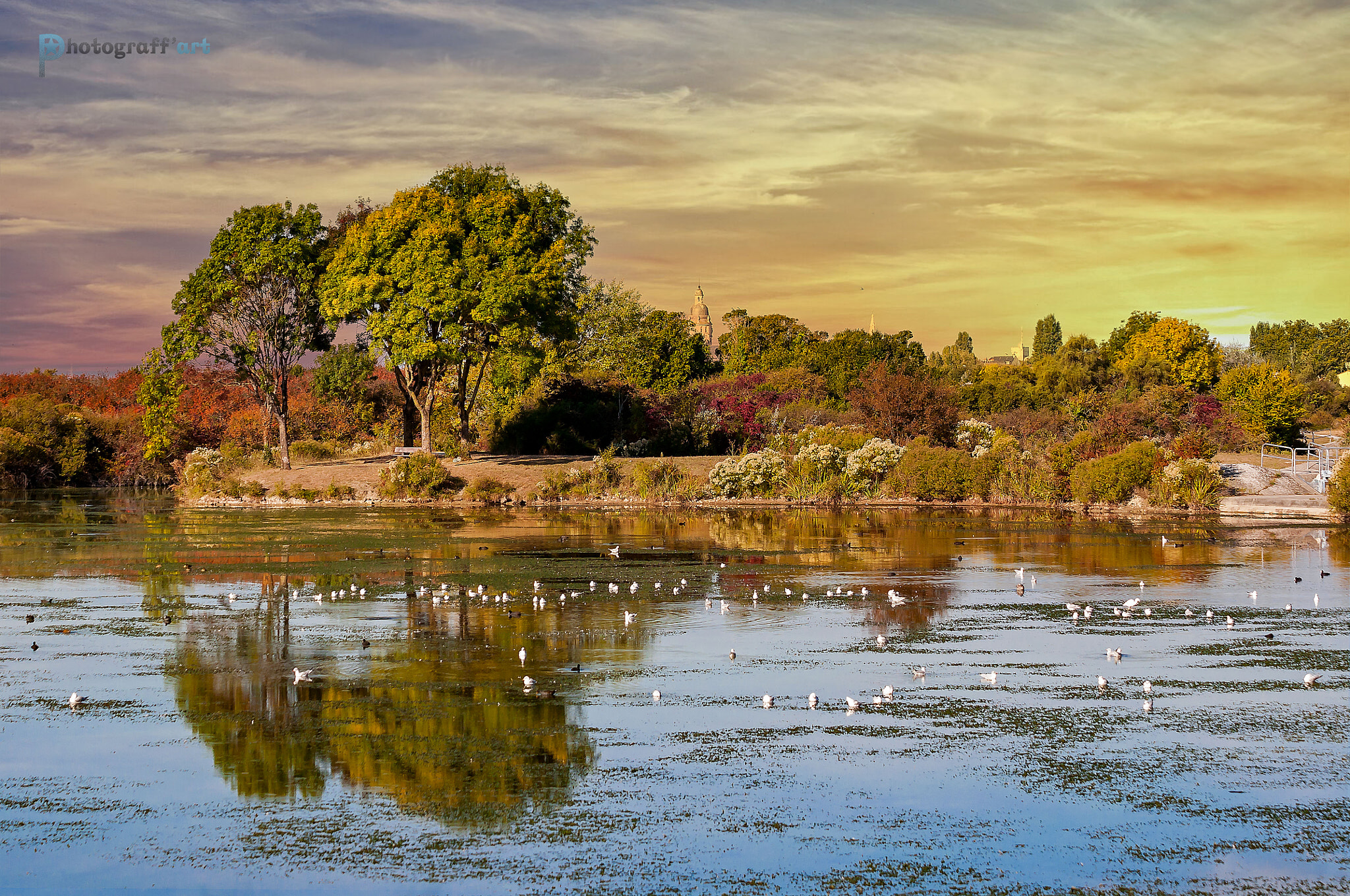 Nikon D5000 sample photo. Réserve naturelle de la rochelle en france photography
