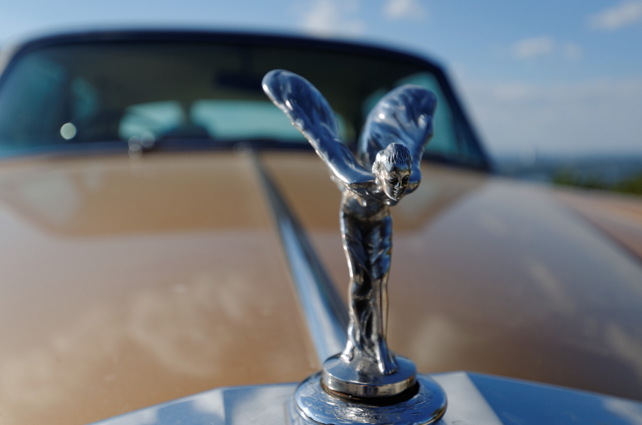 Sigma 10-20mm F3.5 EX DC HSM sample photo. Spirit of ecstasy photography