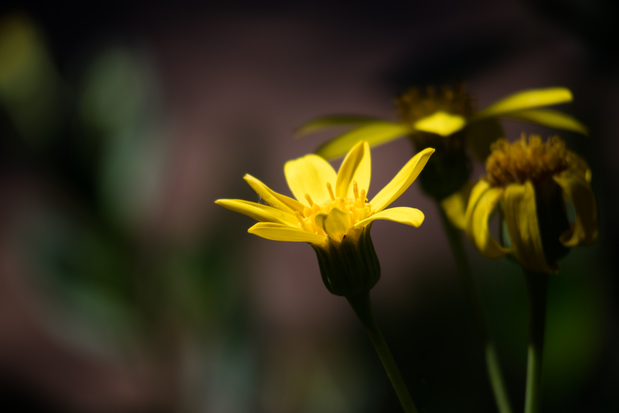 Canon EOS M3 sample photo. Abg_20161008_01 photography