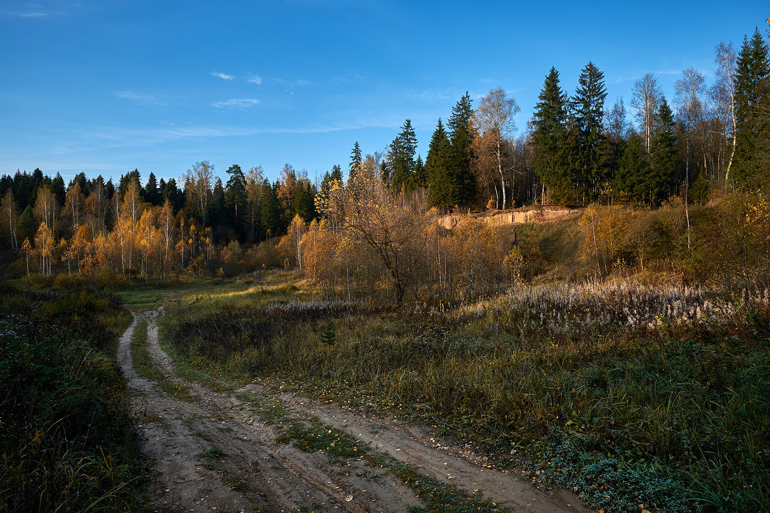 Fujifilm X-T10 + Fujifilm XF 14mm F2.8 R sample photo. Eed cfaforig photography