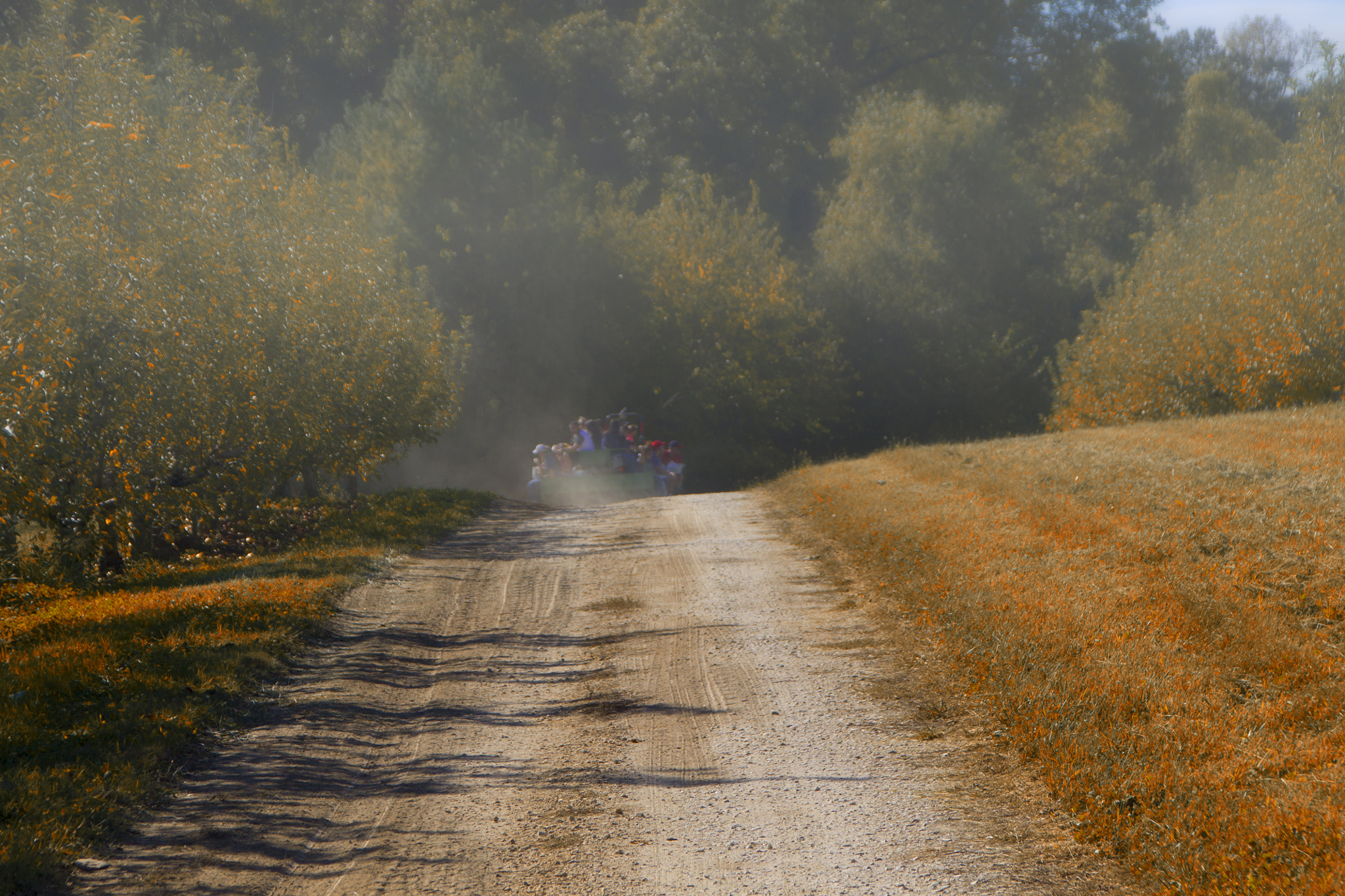 Canon TS-E 90mm F2.8 Tilt-Shift sample photo. Dusty road photography