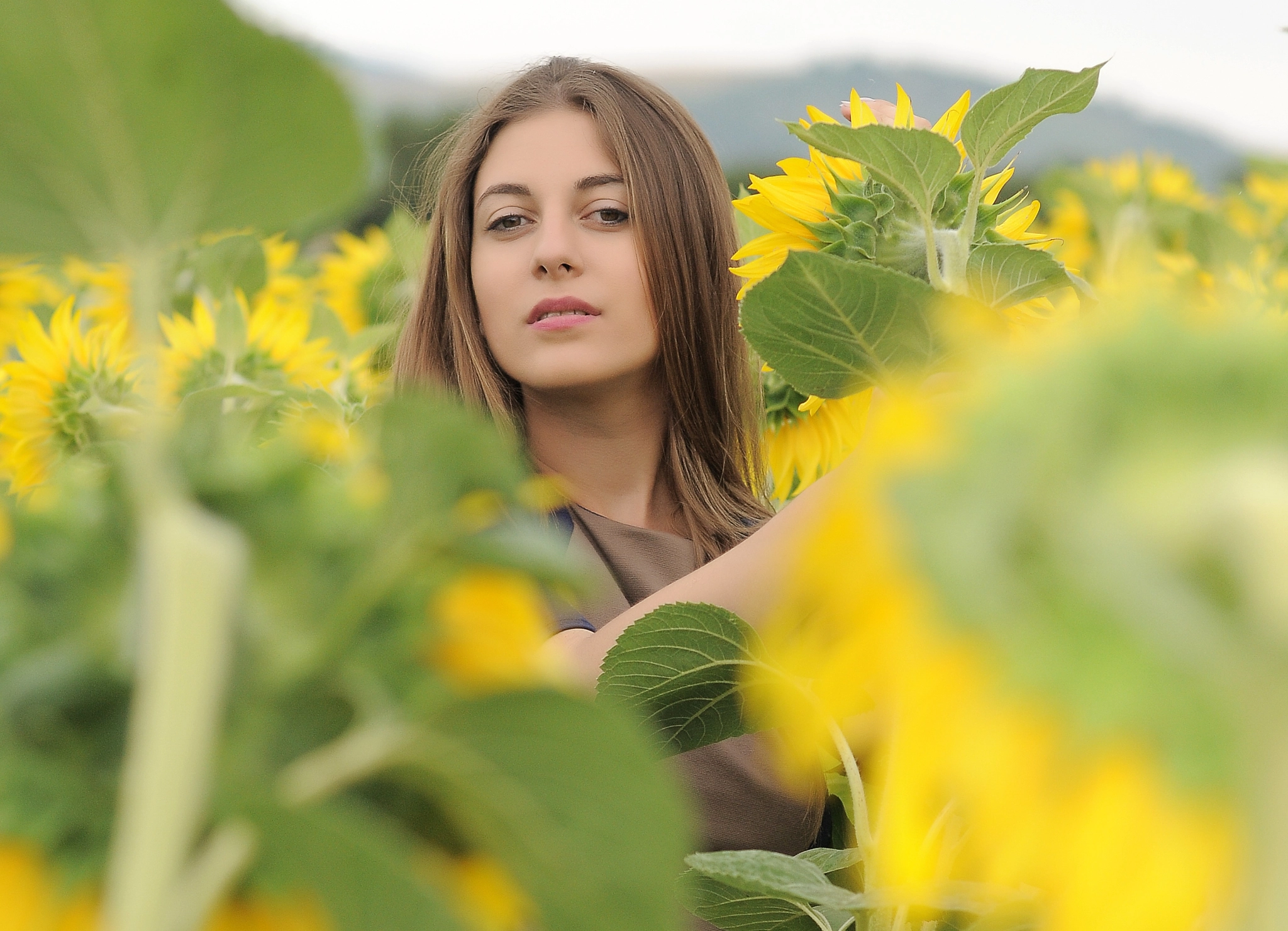 Nikon D300S + Nikon AF-S Nikkor 85mm F1.8G sample photo. Lili -sunflower 02 photography