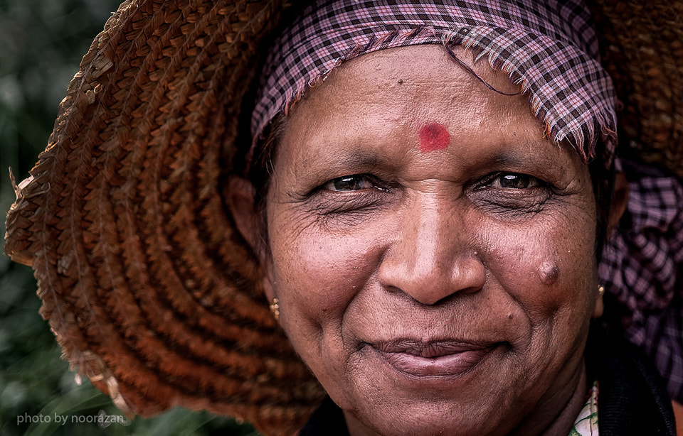 ZEISS Touit 32mm F1.8 sample photo. Tea plantation worker photography