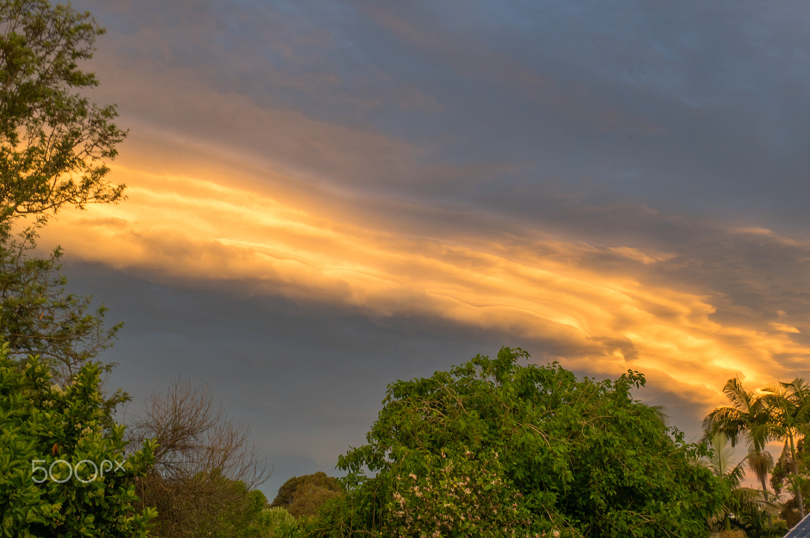 Panasonic DMC-GM1S + Panasonic Lumix G Vario HD 12-32mm F3.5-5.6 Mega OIS sample photo. Golden skies photography