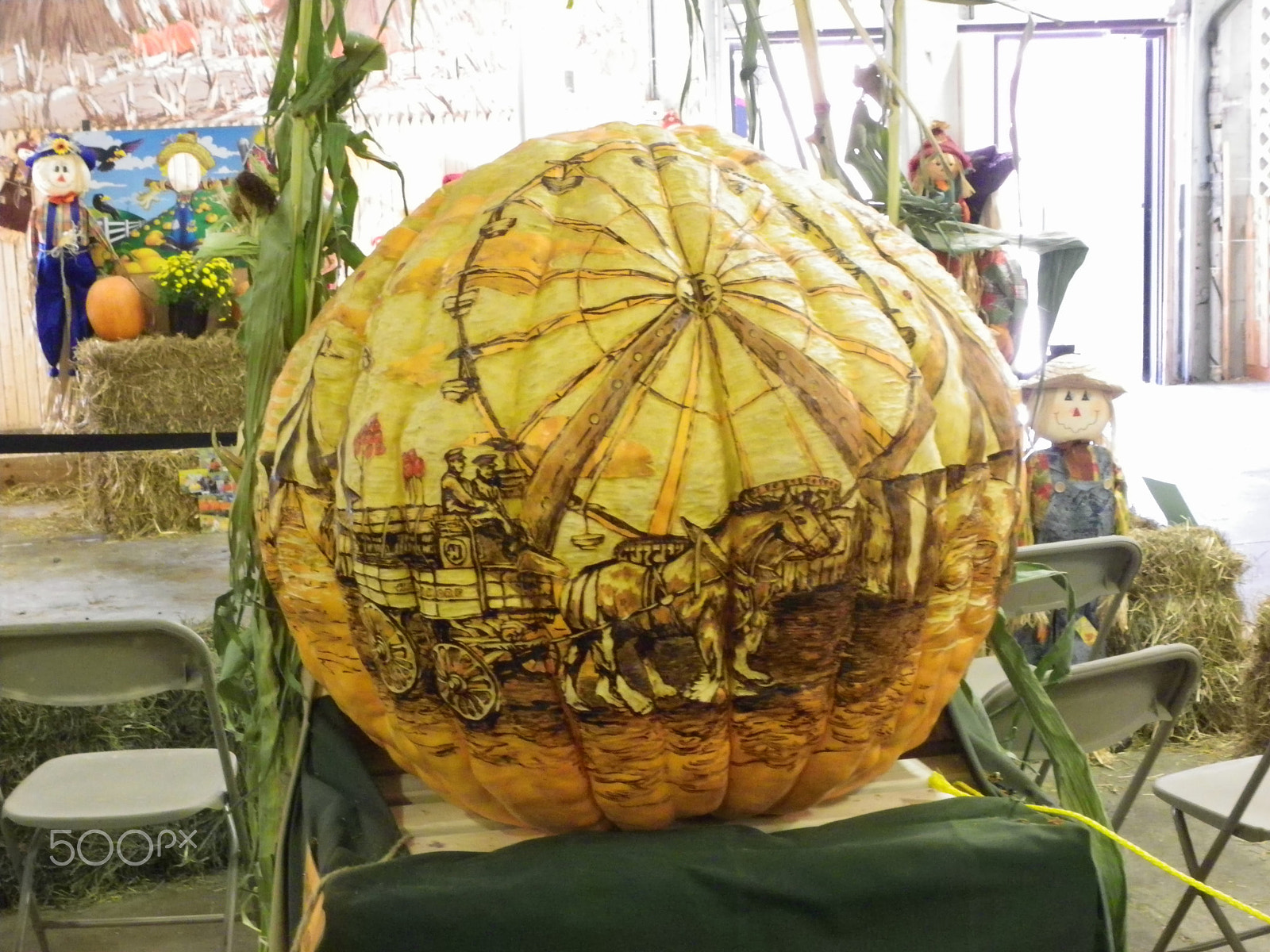 Pentax X90 sample photo. Pumpkin side 2 photography