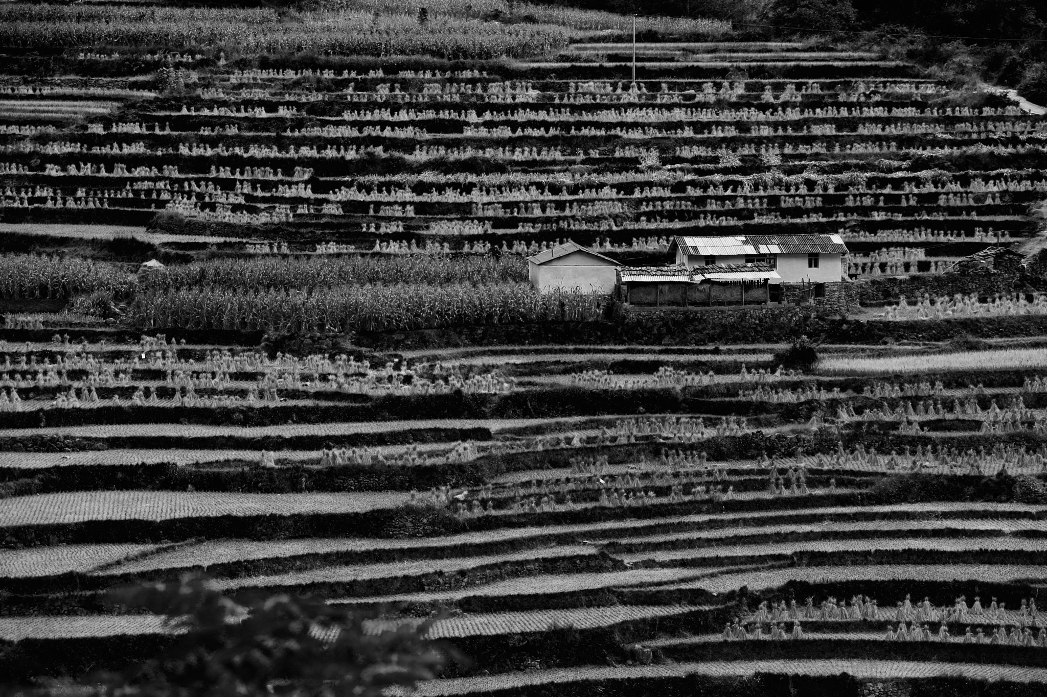 Canon EF 28-300mm F3.5-5.6L IS USM sample photo. Terrace fields photography