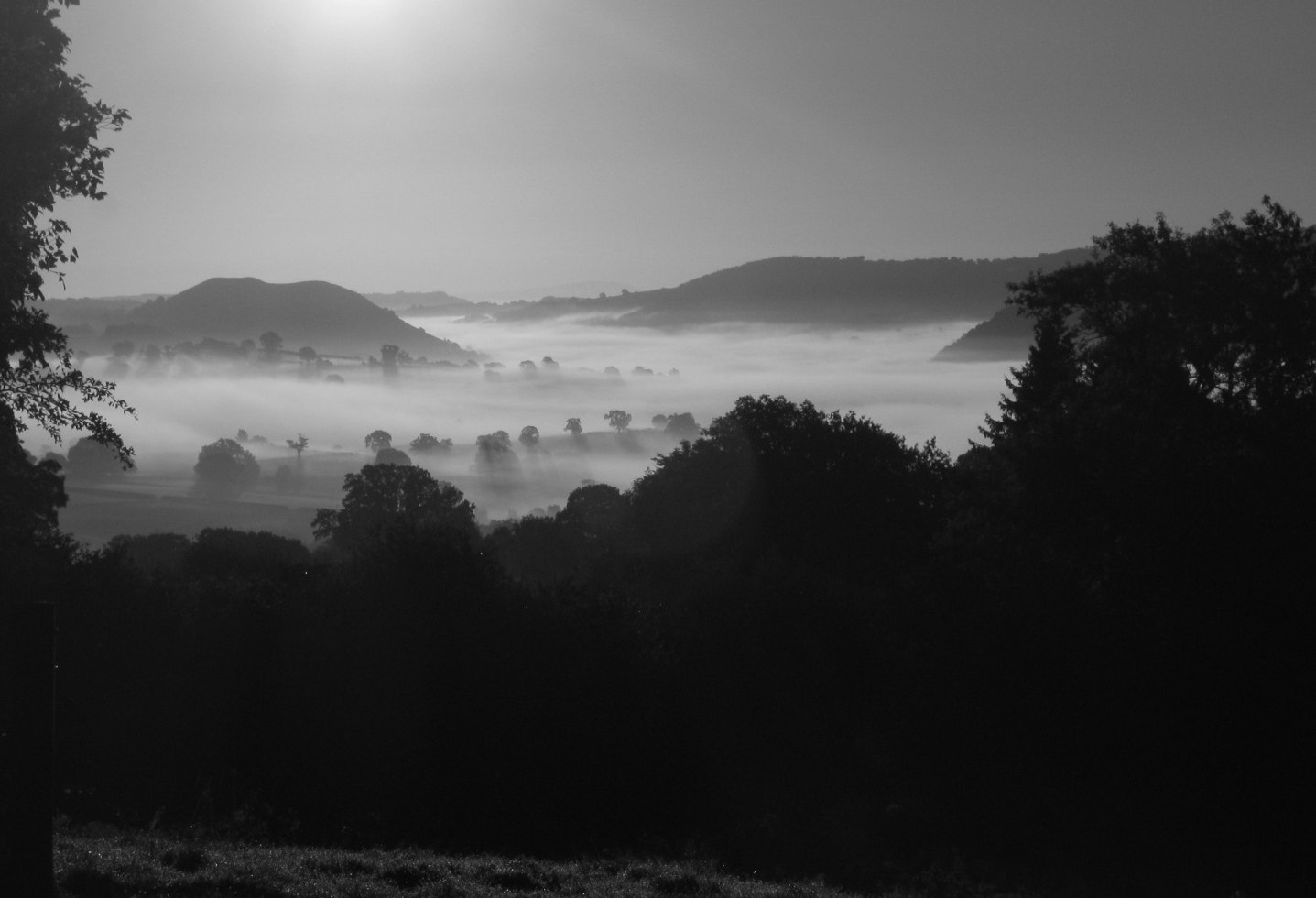 Canon PowerShot A800 sample photo. Misty sunrise 2 photography