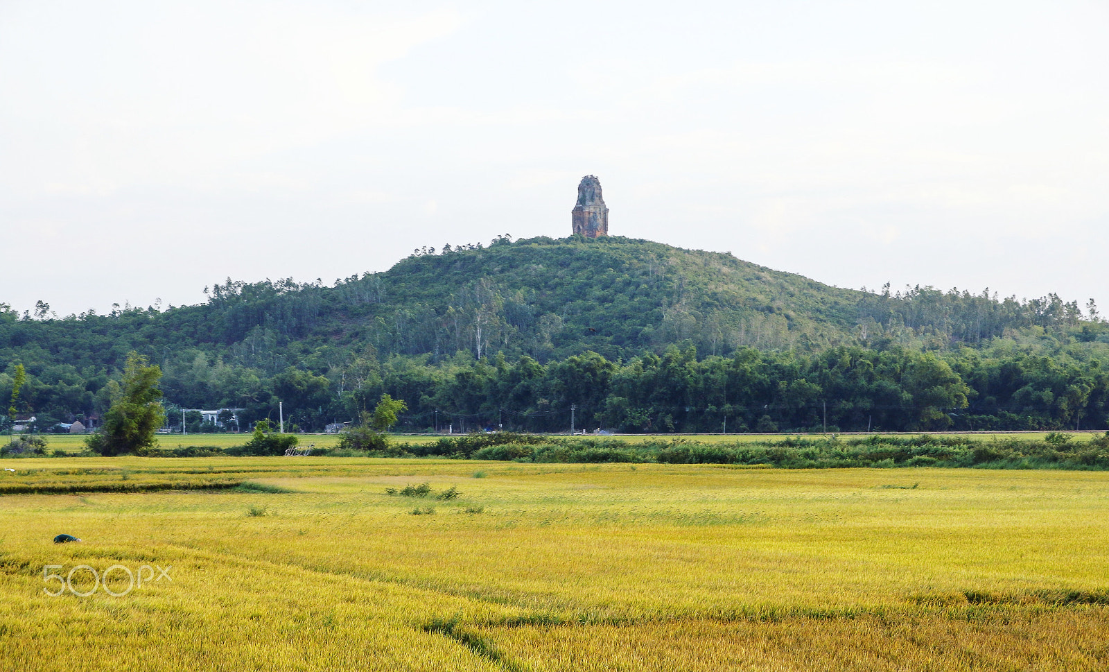 Canon EOS 70D sample photo. Banh it temple photography