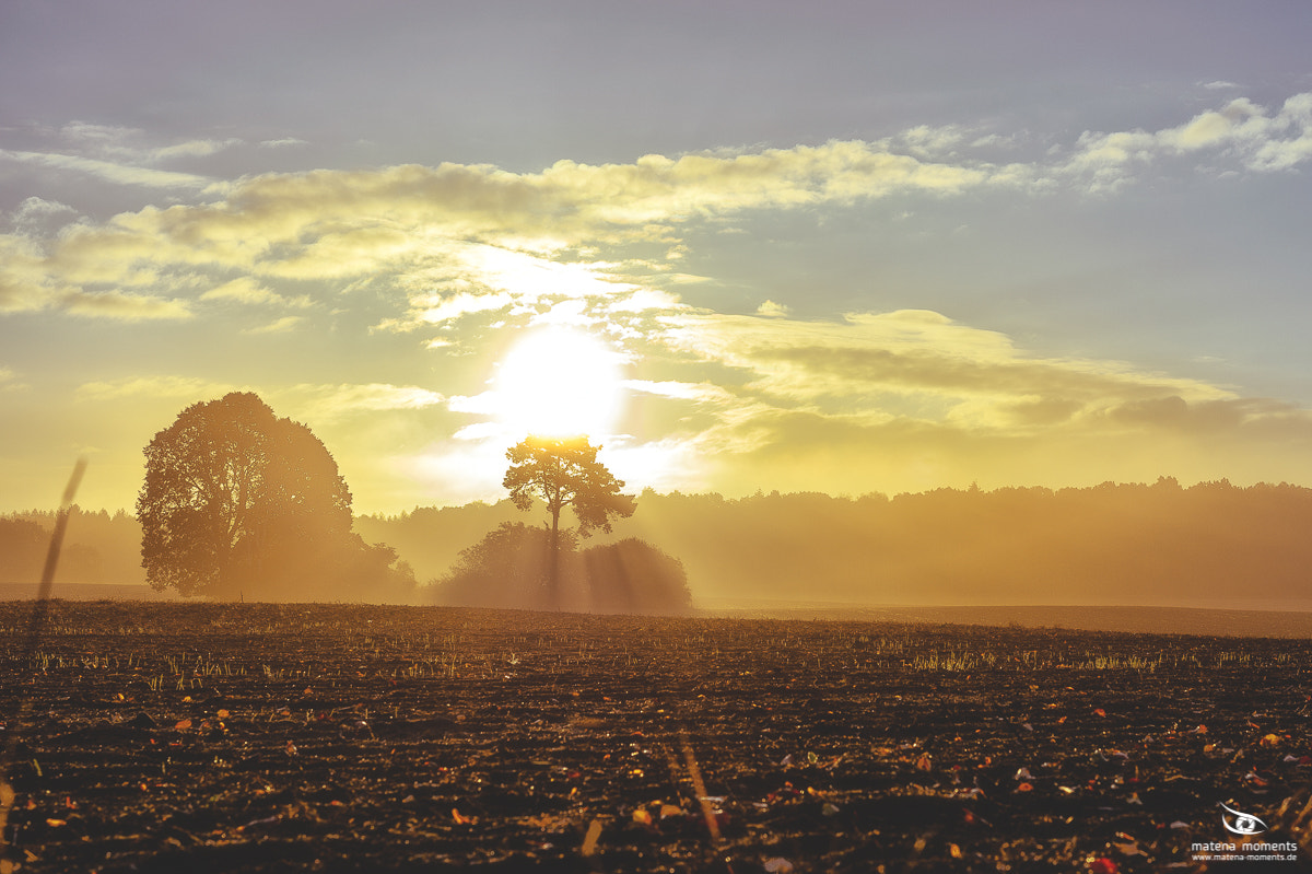 Nikon D4 + Sigma 50mm F1.4 DG HSM Art sample photo. Morning photography