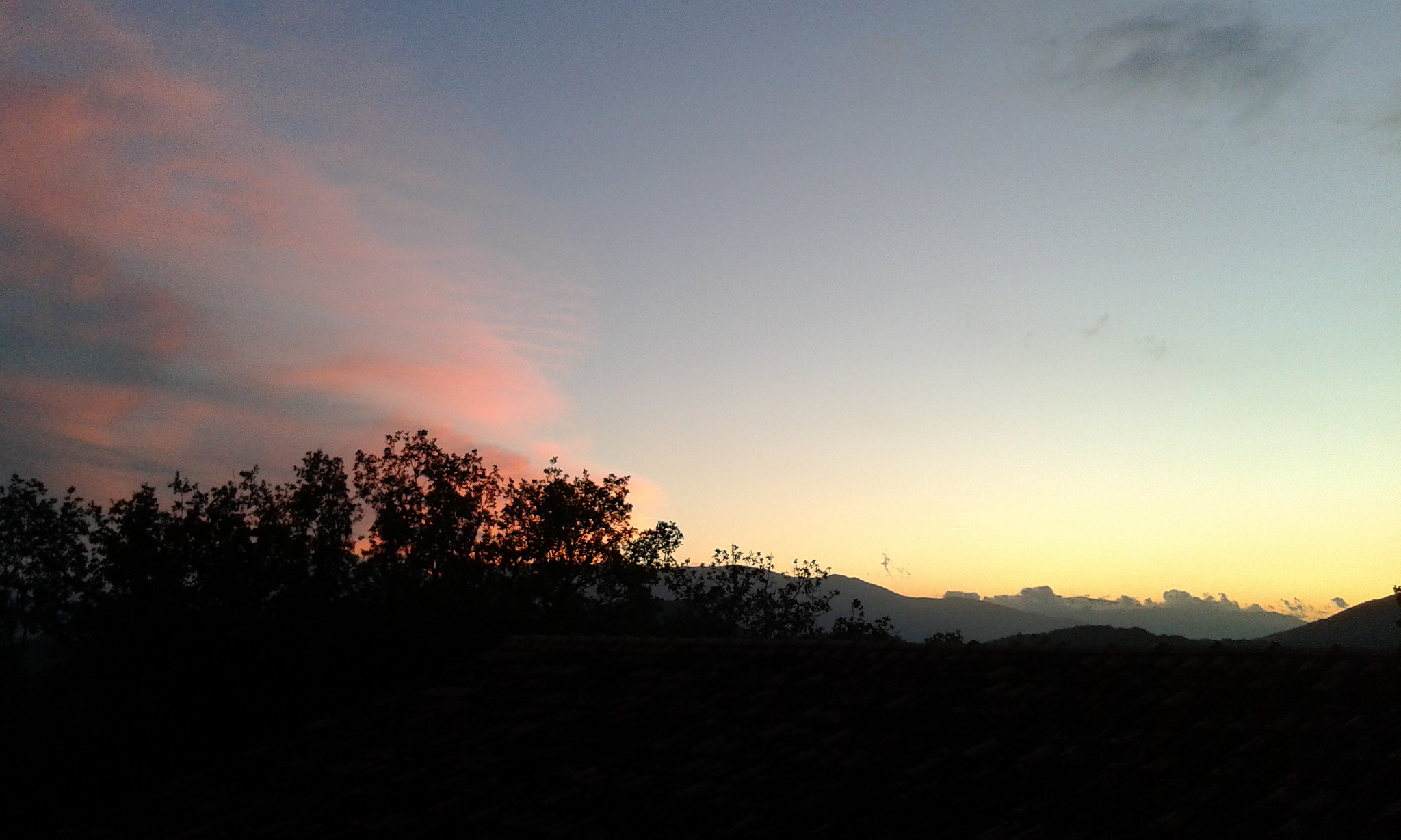 Samsung Galaxy Grand Neo sample photo