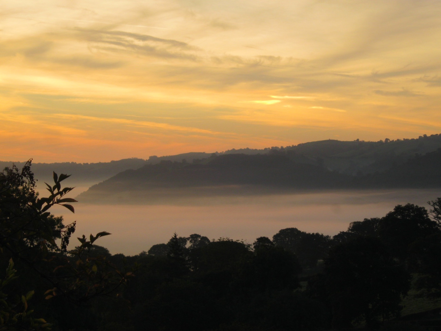 Canon PowerShot A800 sample photo. Misty sunrise 1 photography
