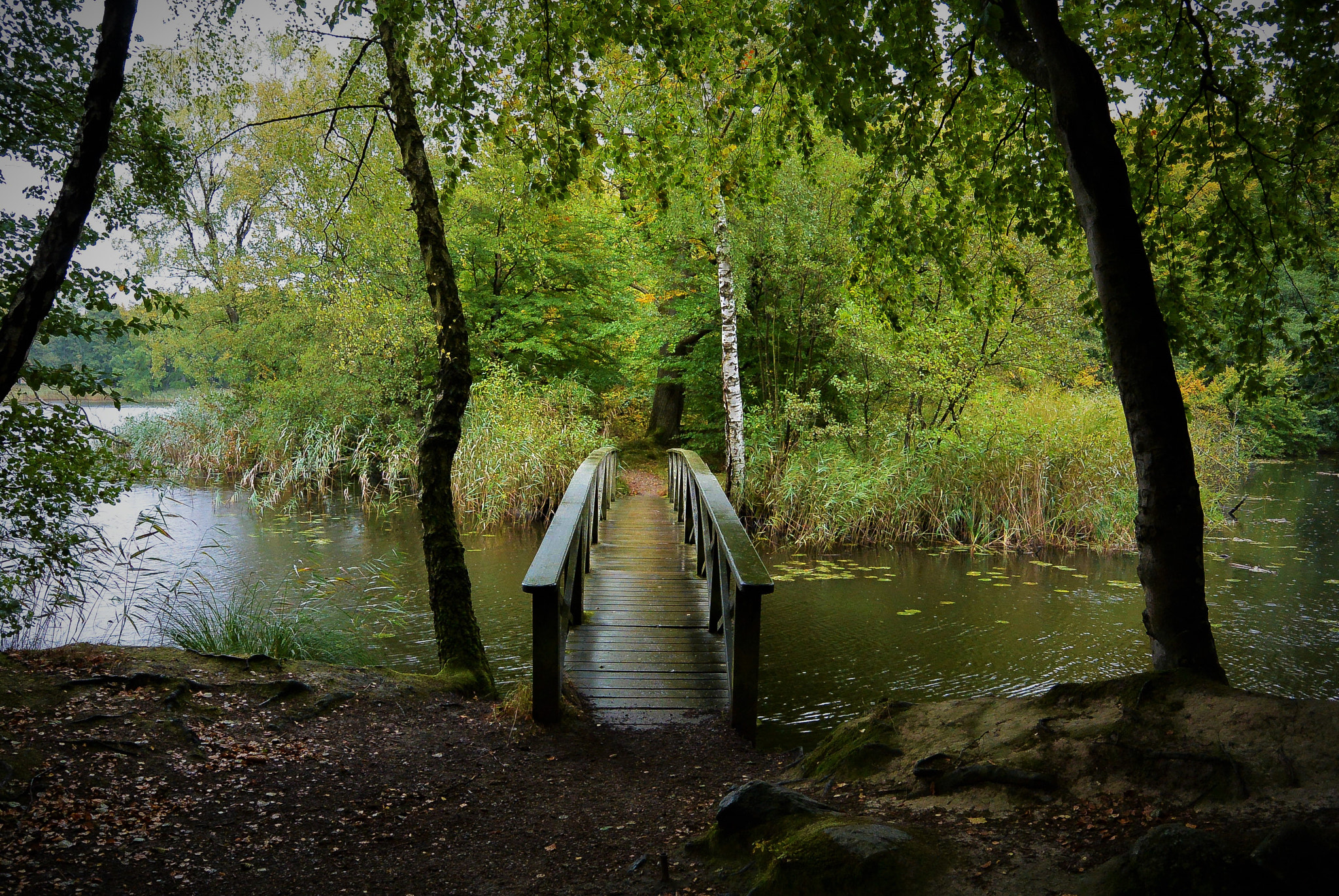 Nikon 1 S1 sample photo. Crossing the lake... photography