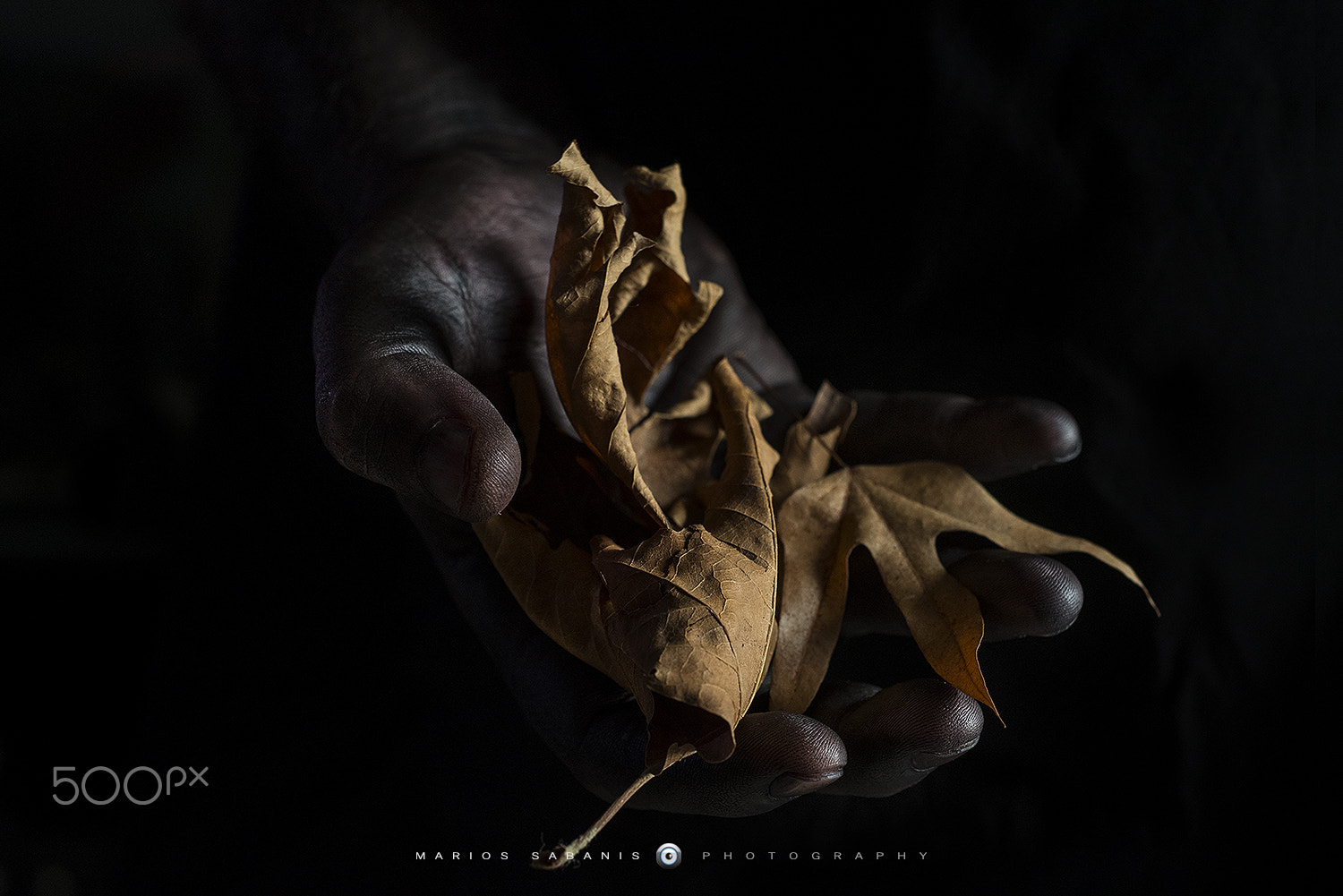 Nikon D750 + AF Nikkor 50mm f/1.8 sample photo. Autumn mood... photography