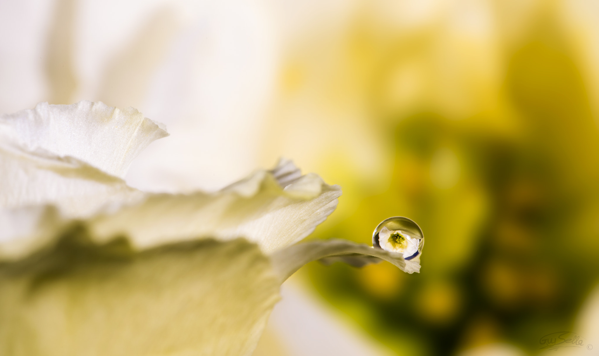 Sigma 105mm F2.8 EX DG OS HSM sample photo. The one photography