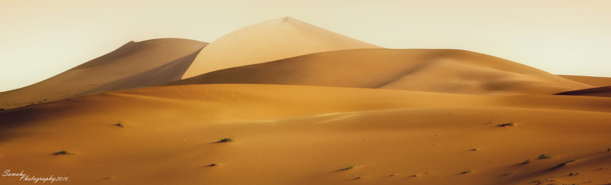 Sigma 70-300mm F4-5.6 APO DG Macro sample photo. Golden dunes photography