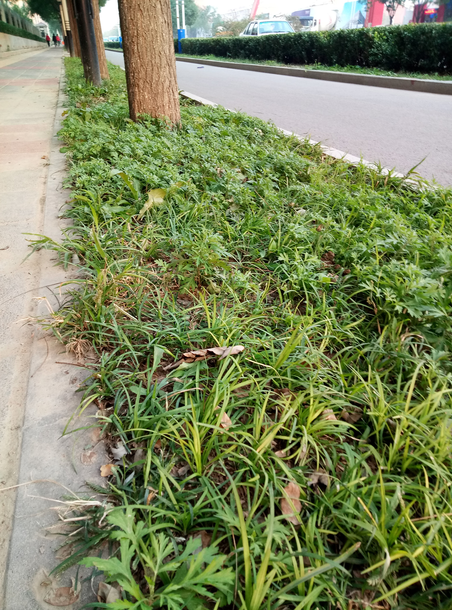 Meizu M1 E sample photo