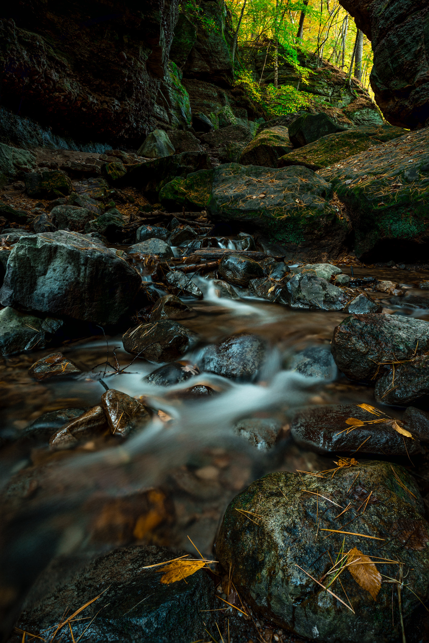 Sony a7R + E 21mm F2.8 sample photo. Parfreys geln photography