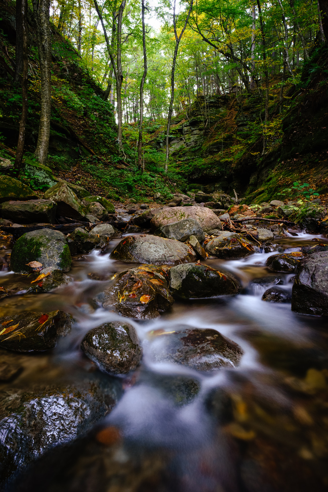 Sony a7R + E 21mm F2.8 sample photo. Parfrey's glen photography