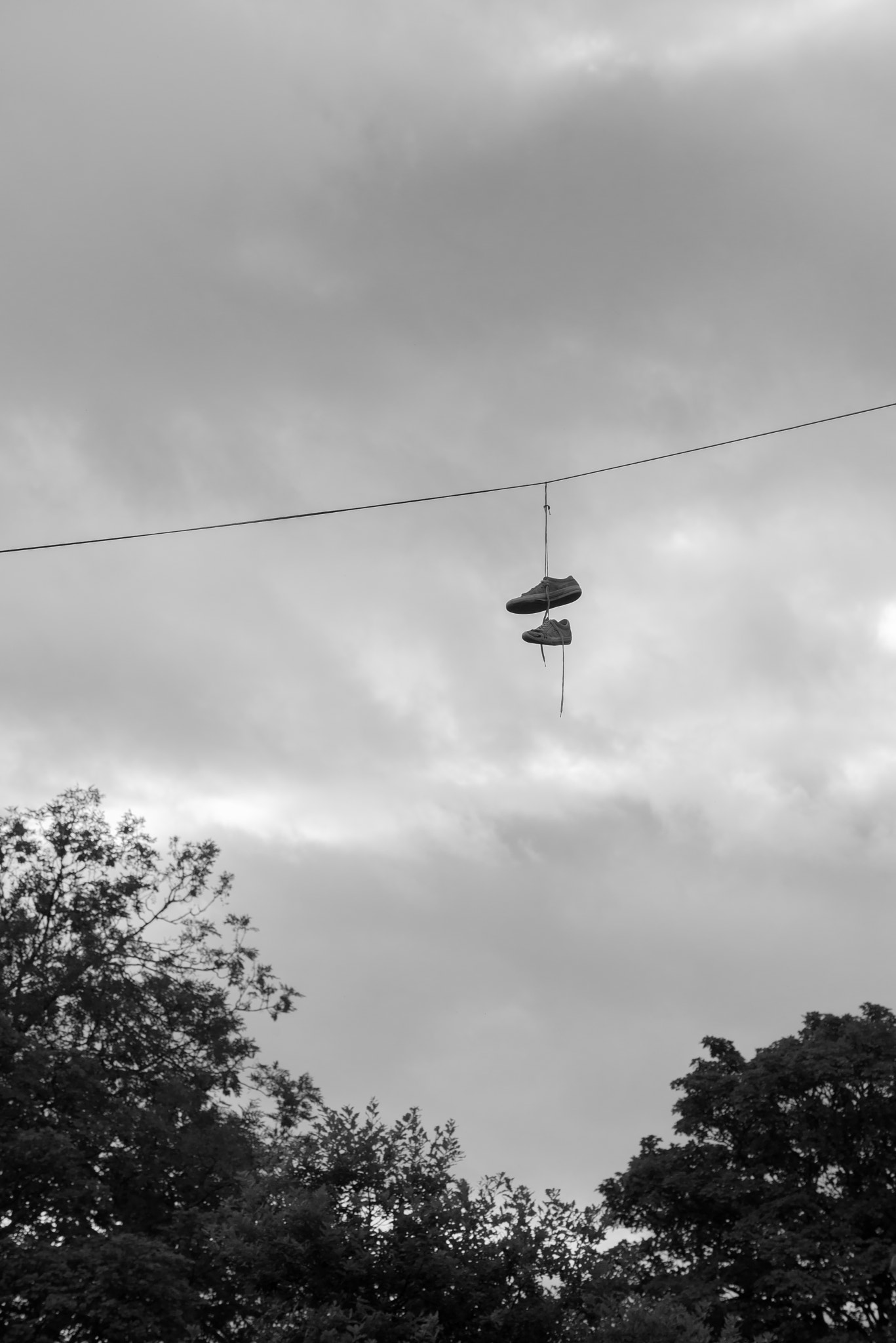 Nikon D600 sample photo. Jumped really high photography