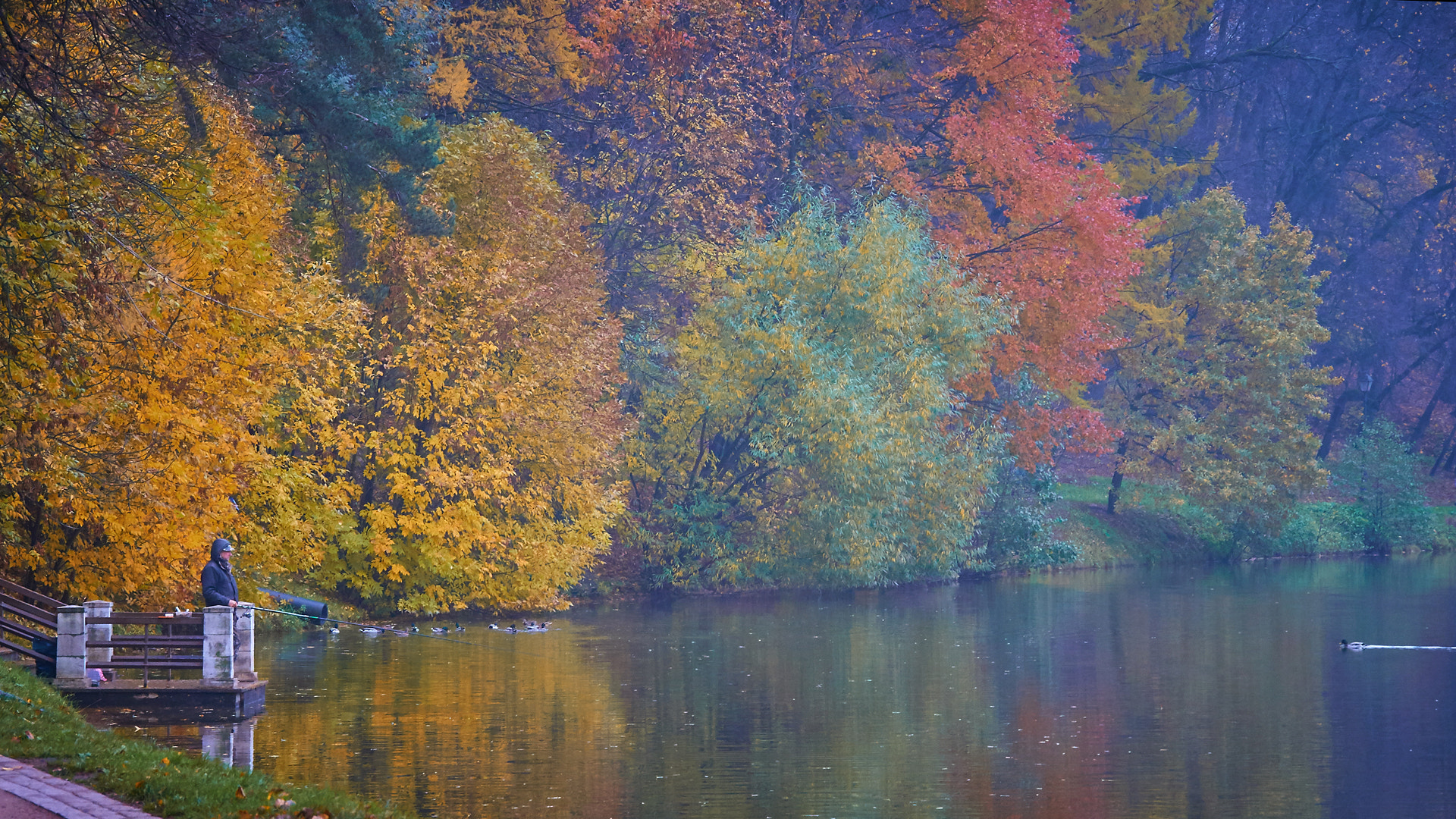 Sony SLT-A35 sample photo. Осенний пруд в Царицыно photography
