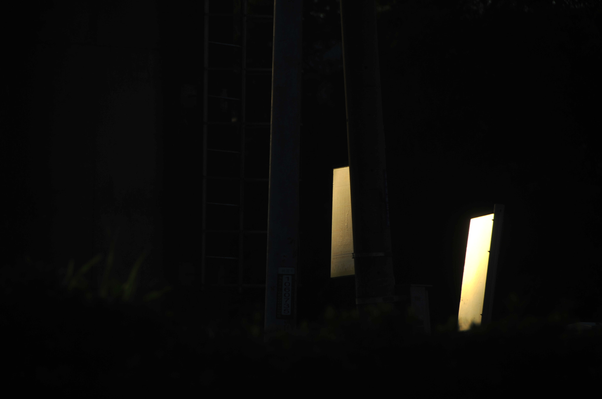 Nikon D3 sample photo. .. photography