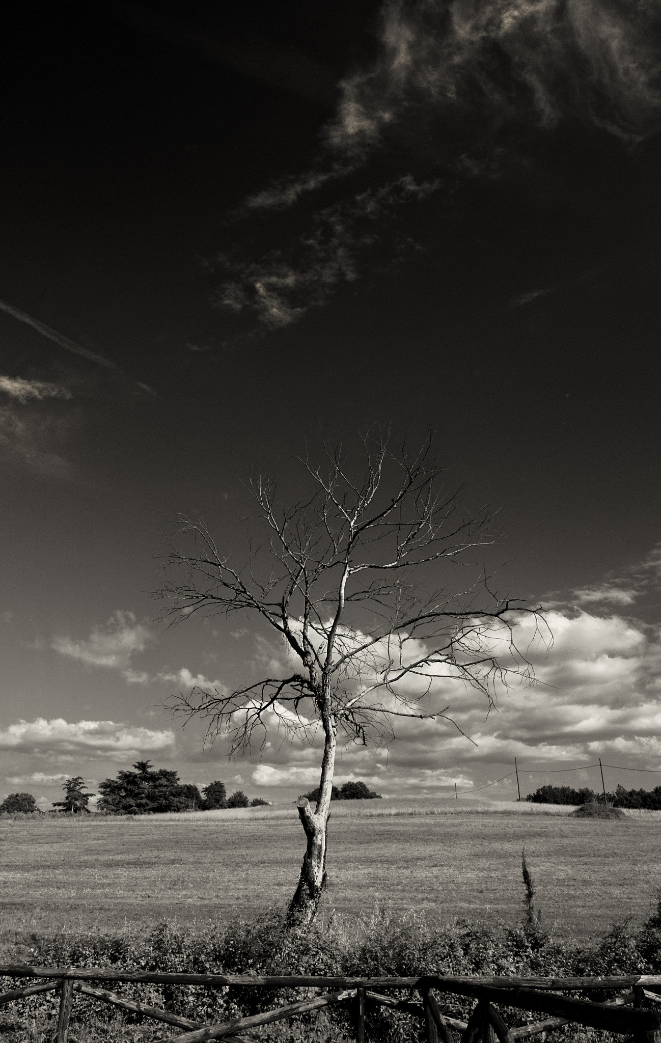 Nikon AF-S Nikkor 17-35mm F2.8D ED-IF sample photo. Dark summer photography