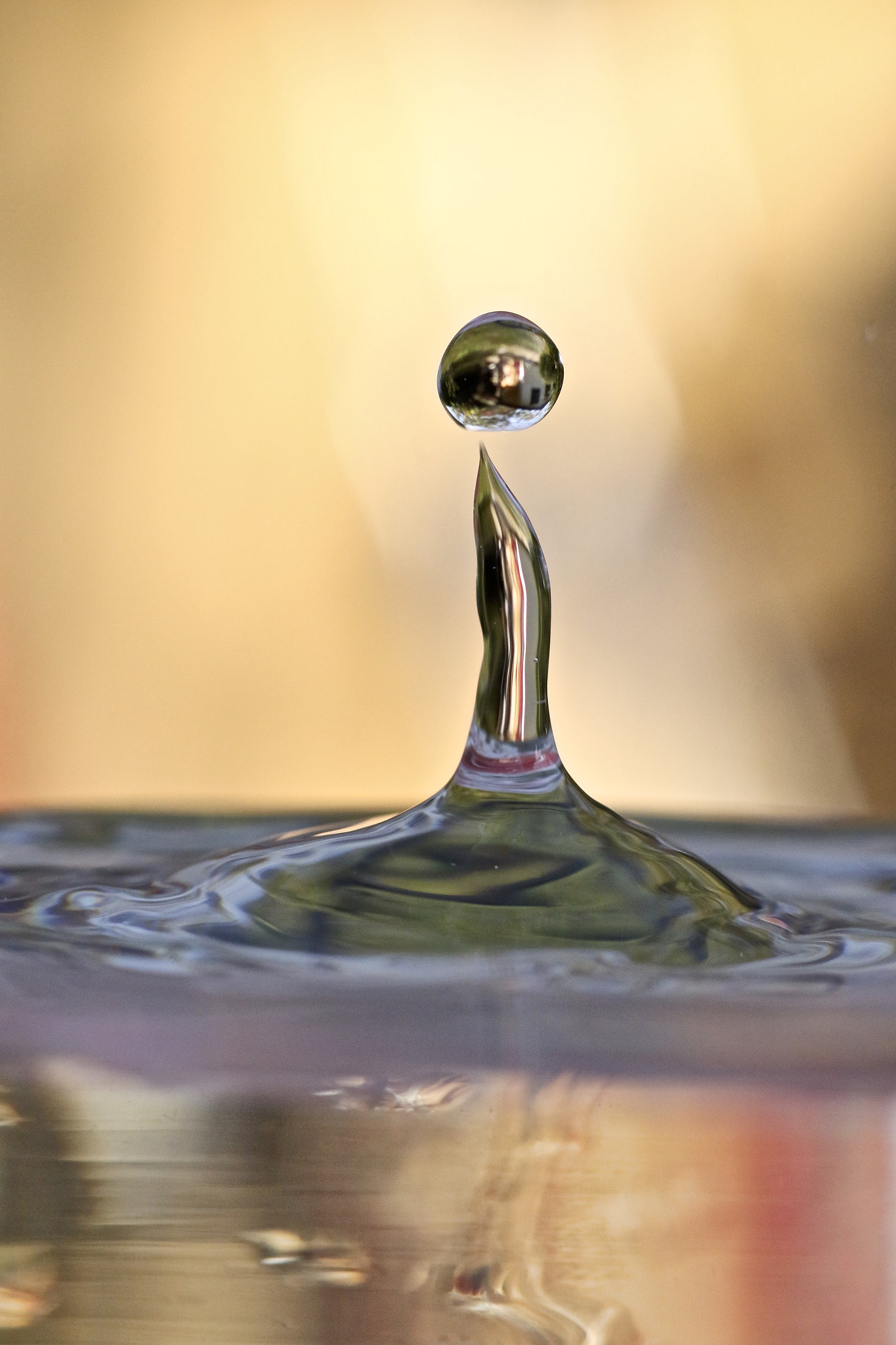 Sigma 105mm F2.8 EX DG Macro sample photo. Uraren edertasuna photography