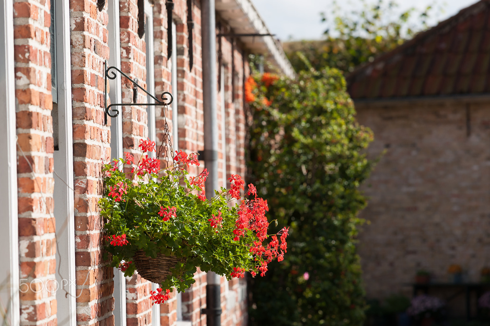 Sony Alpha DSLR-A900 + Minolta/Sony AF 70-200mm F2.8 G sample photo. Bright colorful flower basket on old historical house facades. photography