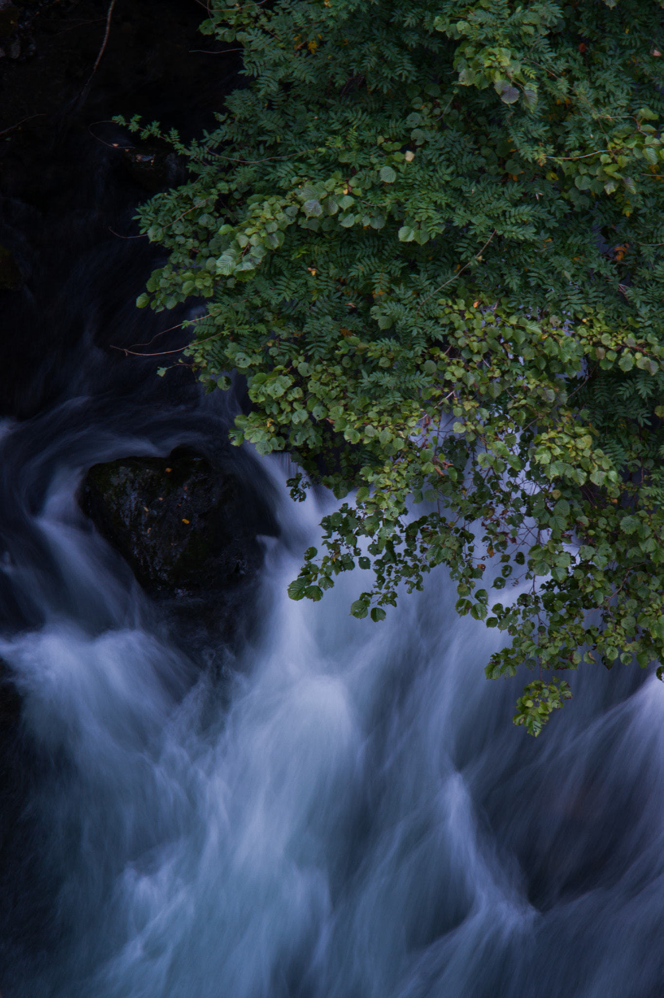 Minolta AF 35-105mm F3.5-4.5 New sample photo. Gentle turbulence photography
