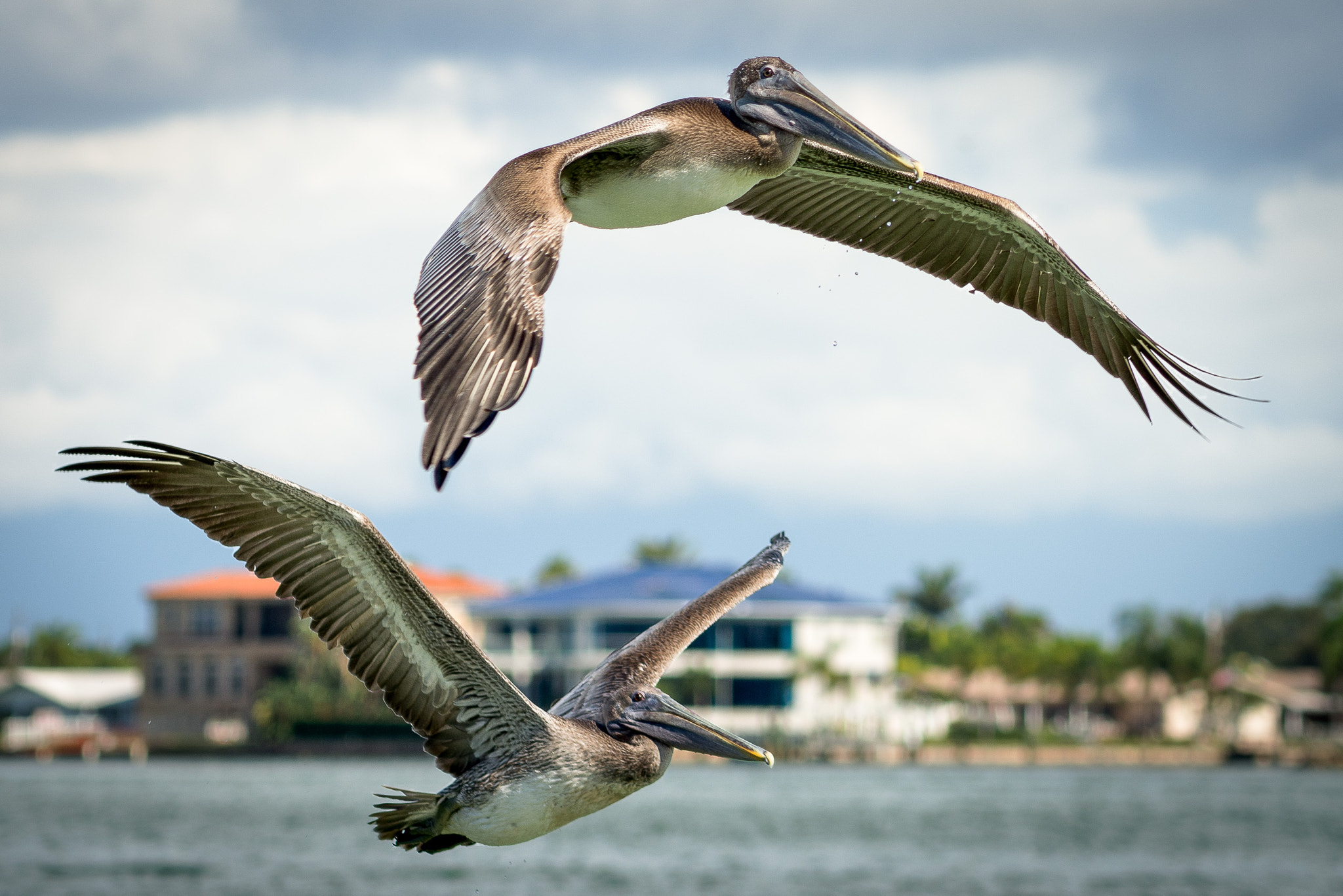 Nikon AF-S Nikkor 70-200mm F4G ED VR sample photo. Tandem takeoff photography