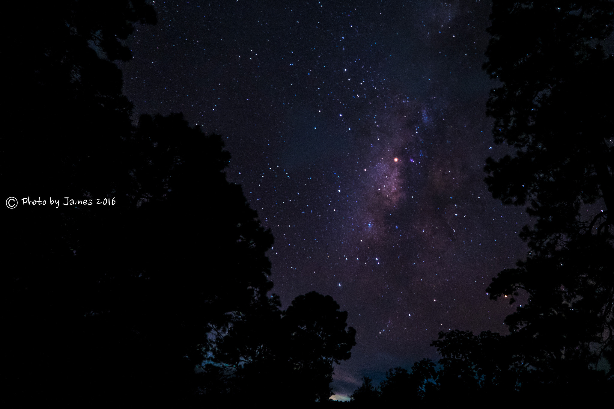ZEISS Touit 12mm F2.8 sample photo. Hello from the other side photography