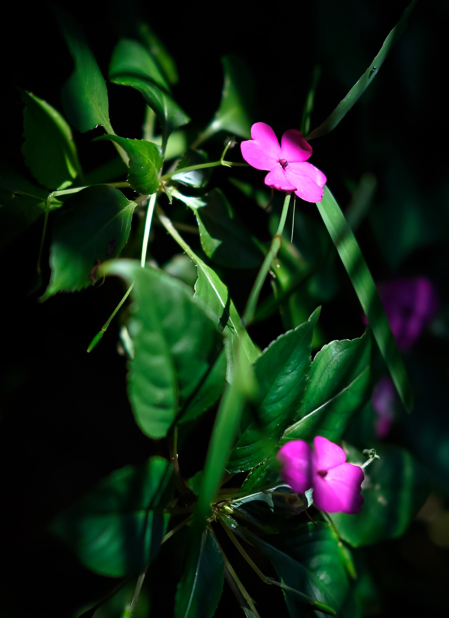 Sony FE 85mm F1.4 GM sample photo. Lights colors in dark photography