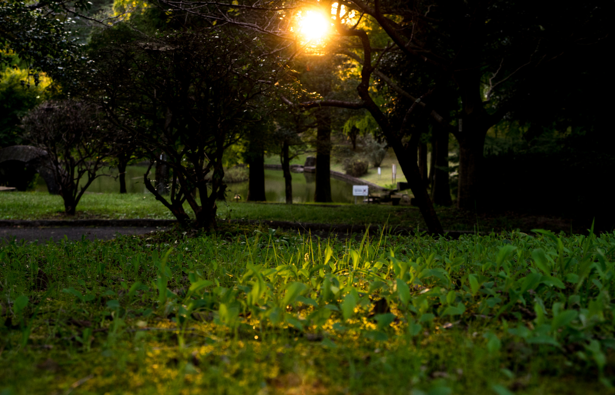 Pentax K-3 II sample photo