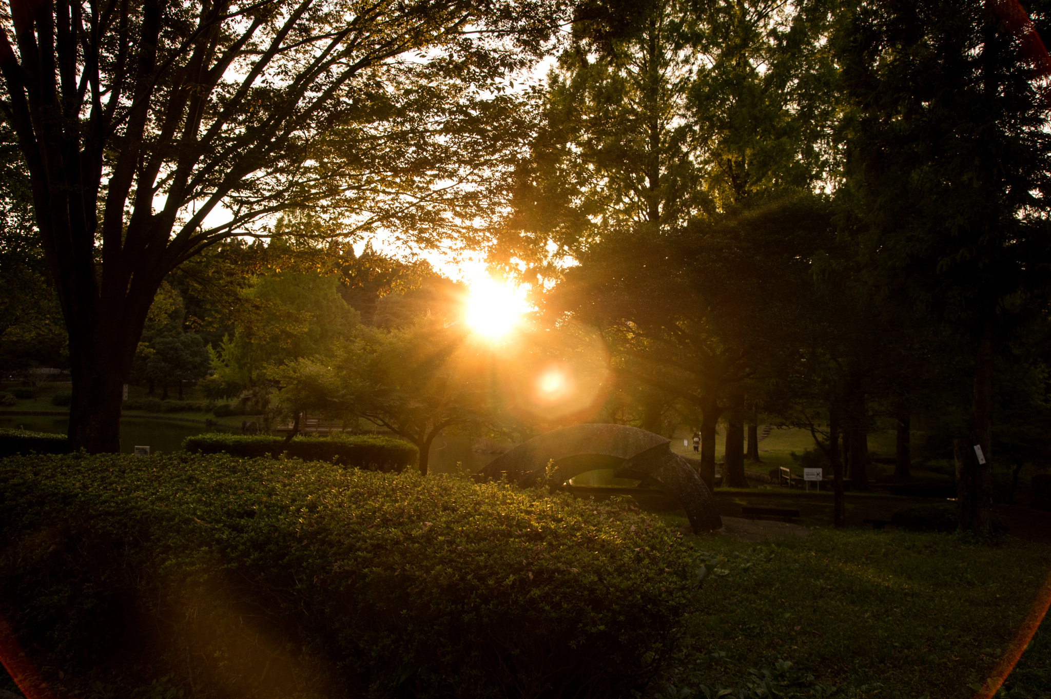 Pentax K-3 II sample photo
