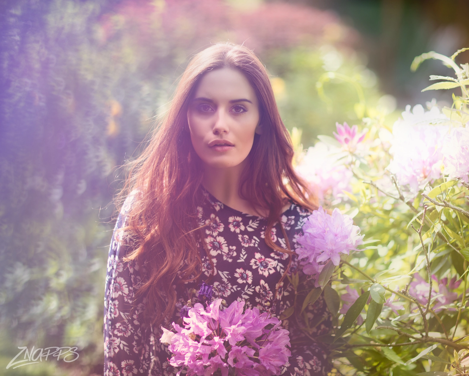Canon EOS 5DS + Canon EF 85mm F1.2L II USM sample photo. Garden pretty photography
