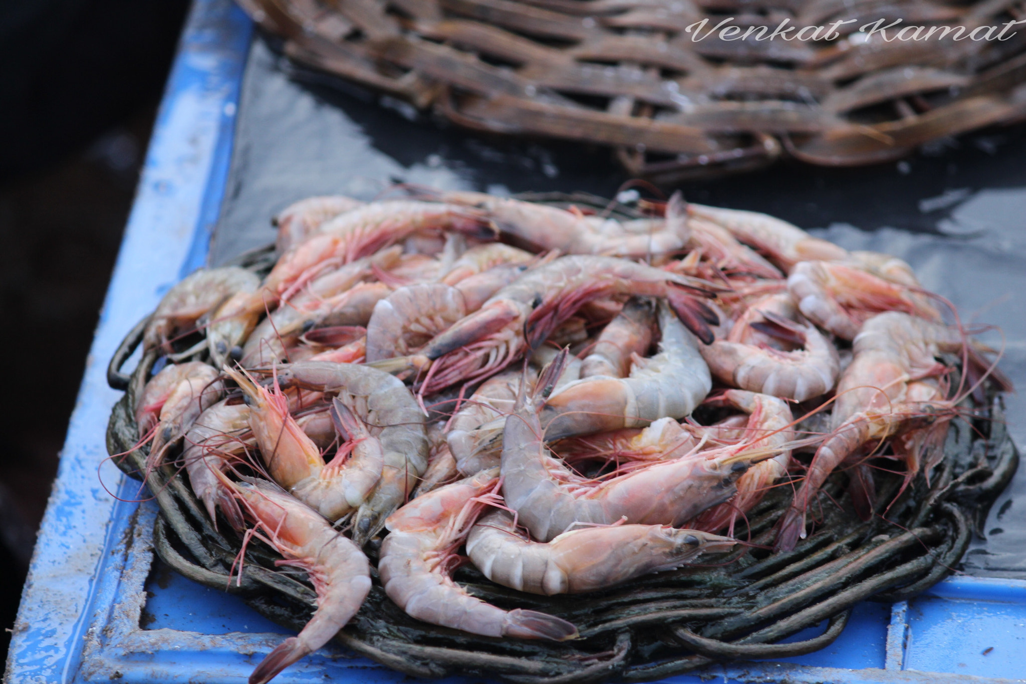 Canon EF-S 55-250mm F4-5.6 IS II sample photo