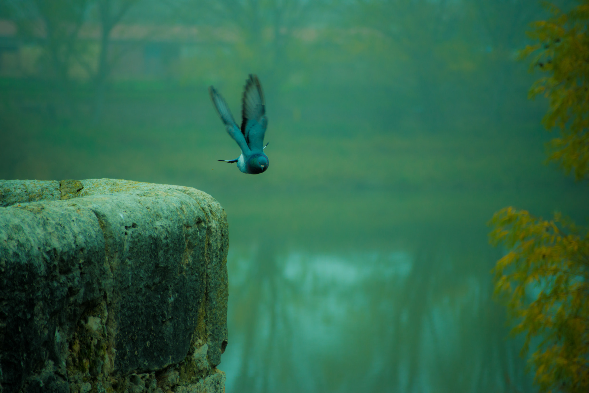 Sigma 70-210mm F4-5.6 UC-II sample photo. The dove and the old bridge. photography