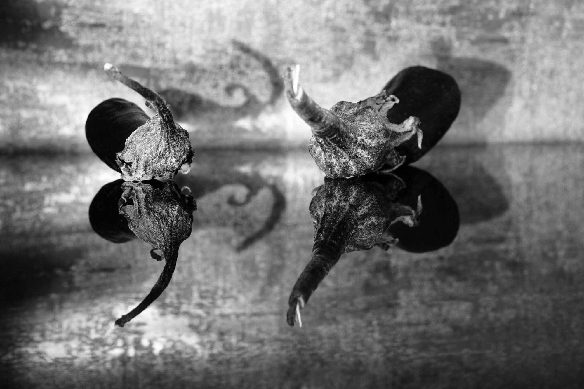 Canon EF 50mm F2.5 Macro sample photo. Elephants drinking in the mirror ... photography