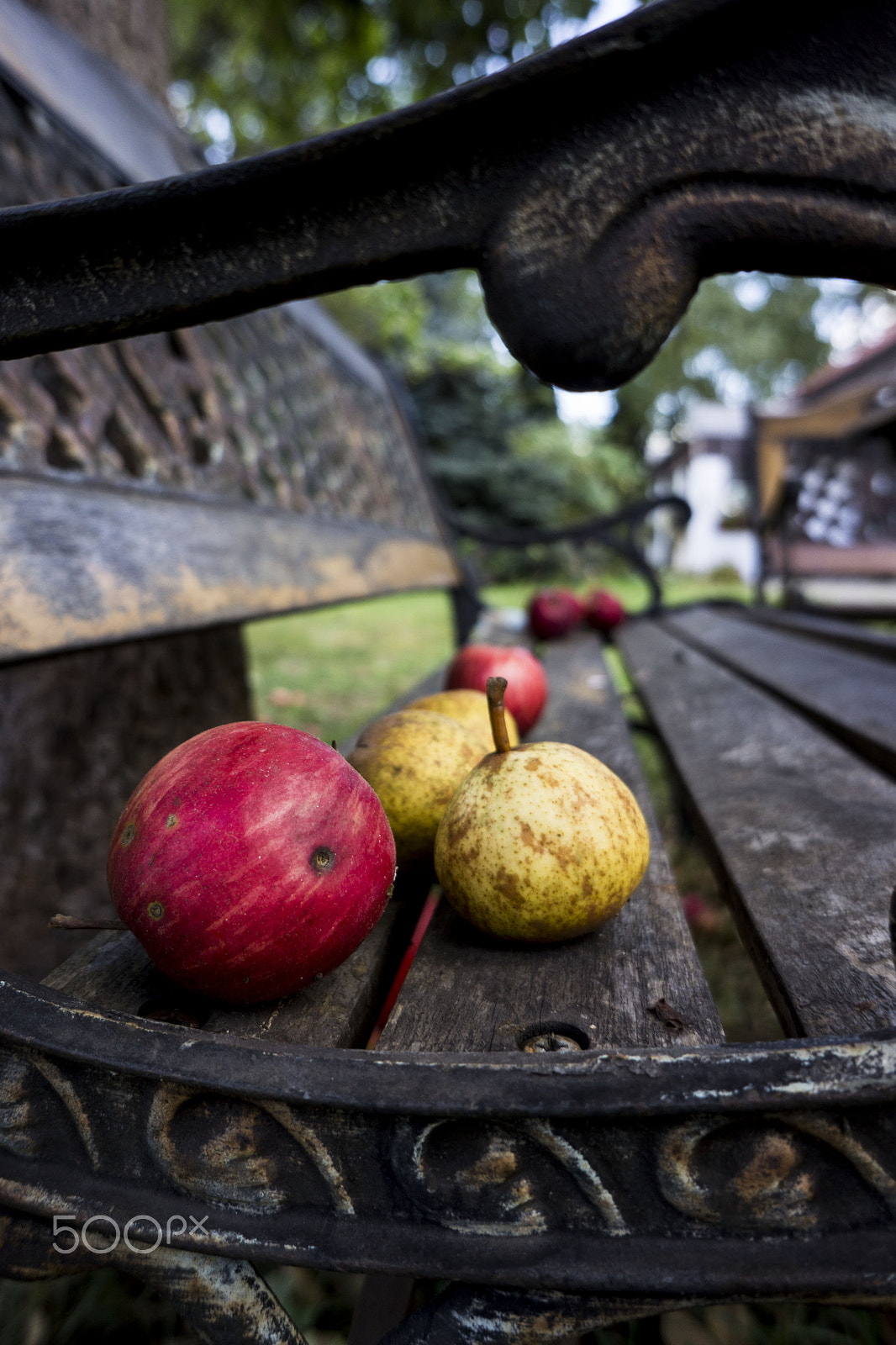 Sony Alpha NEX-5N sample photo. Apples-3 photography