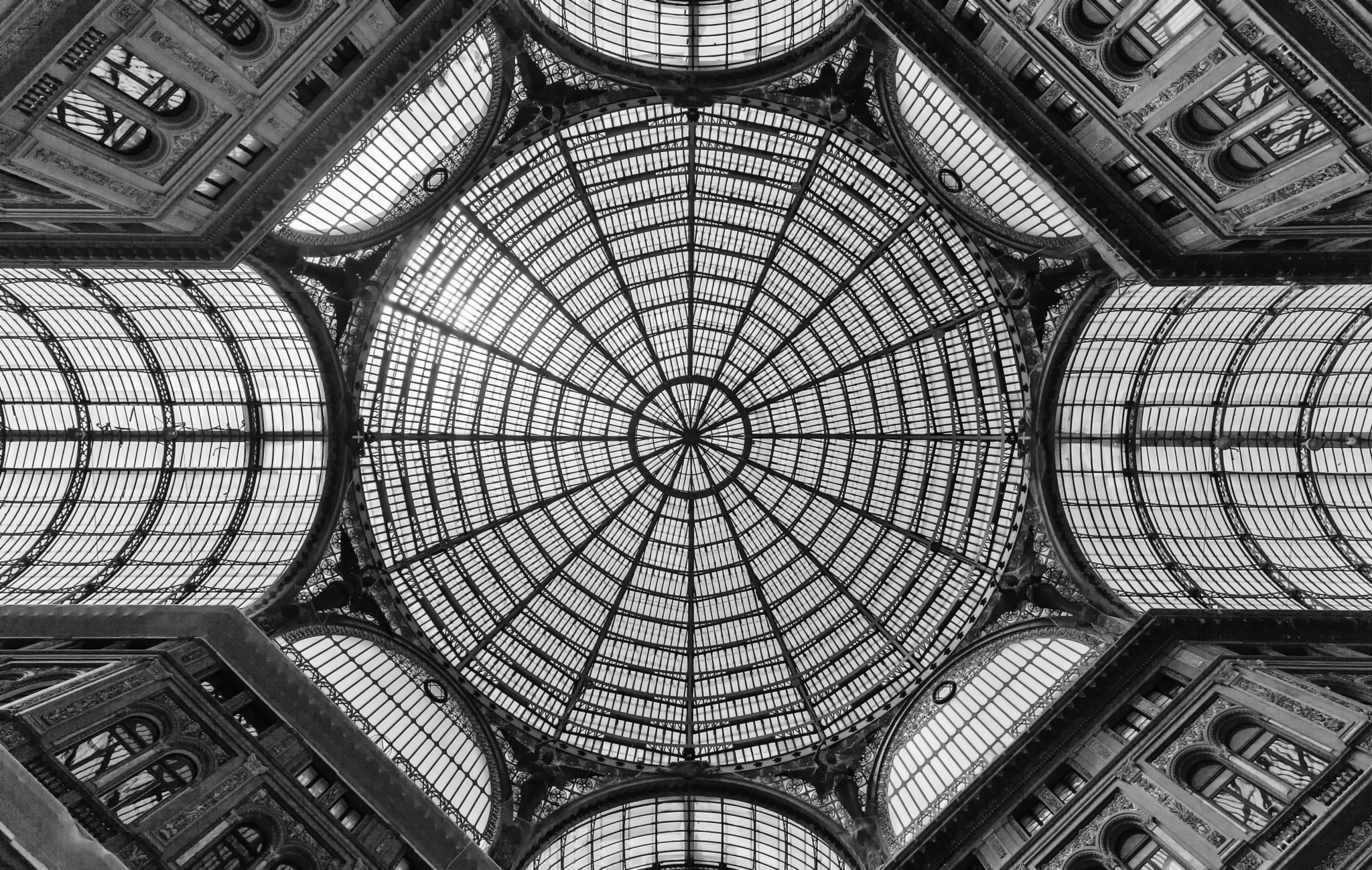 Canon EF 16-35mm F4L IS USM sample photo. Spider net photography