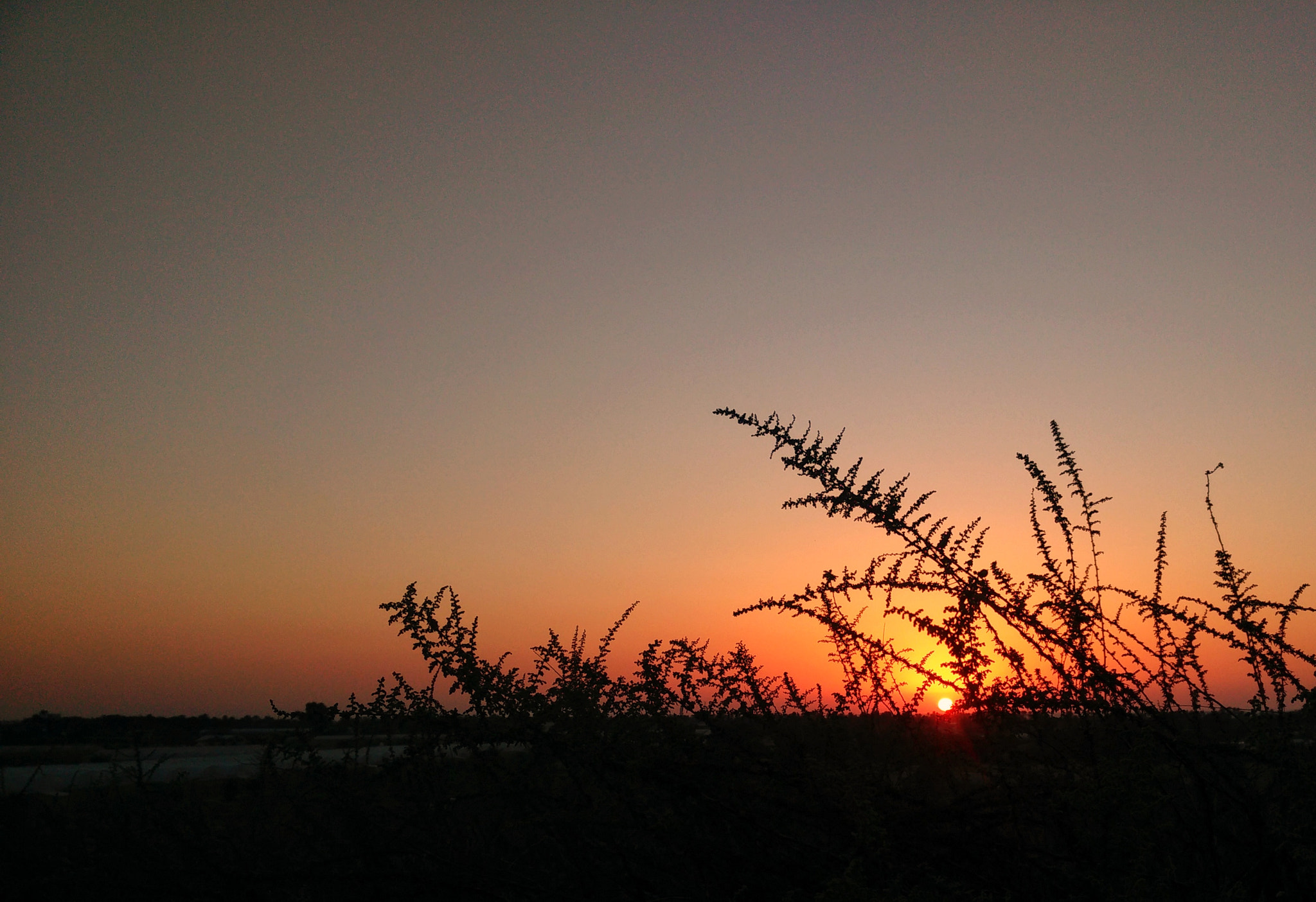 OPPO Find7 sample photo. Sunset  photography
