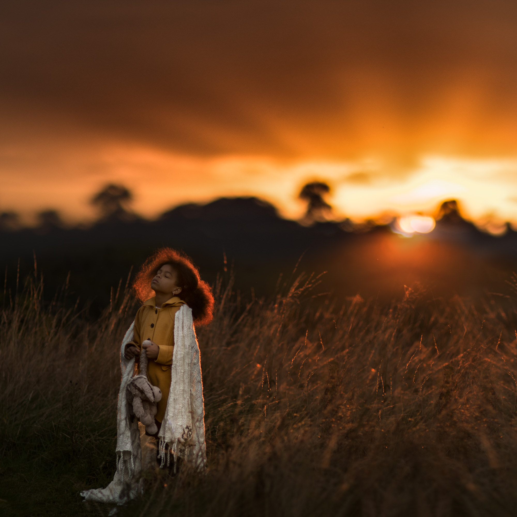 Sigma 85mm F1.4 EX DG HSM sample photo. Last light photography
